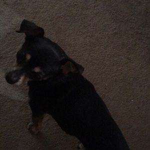 Meet your Posher, Roselynn